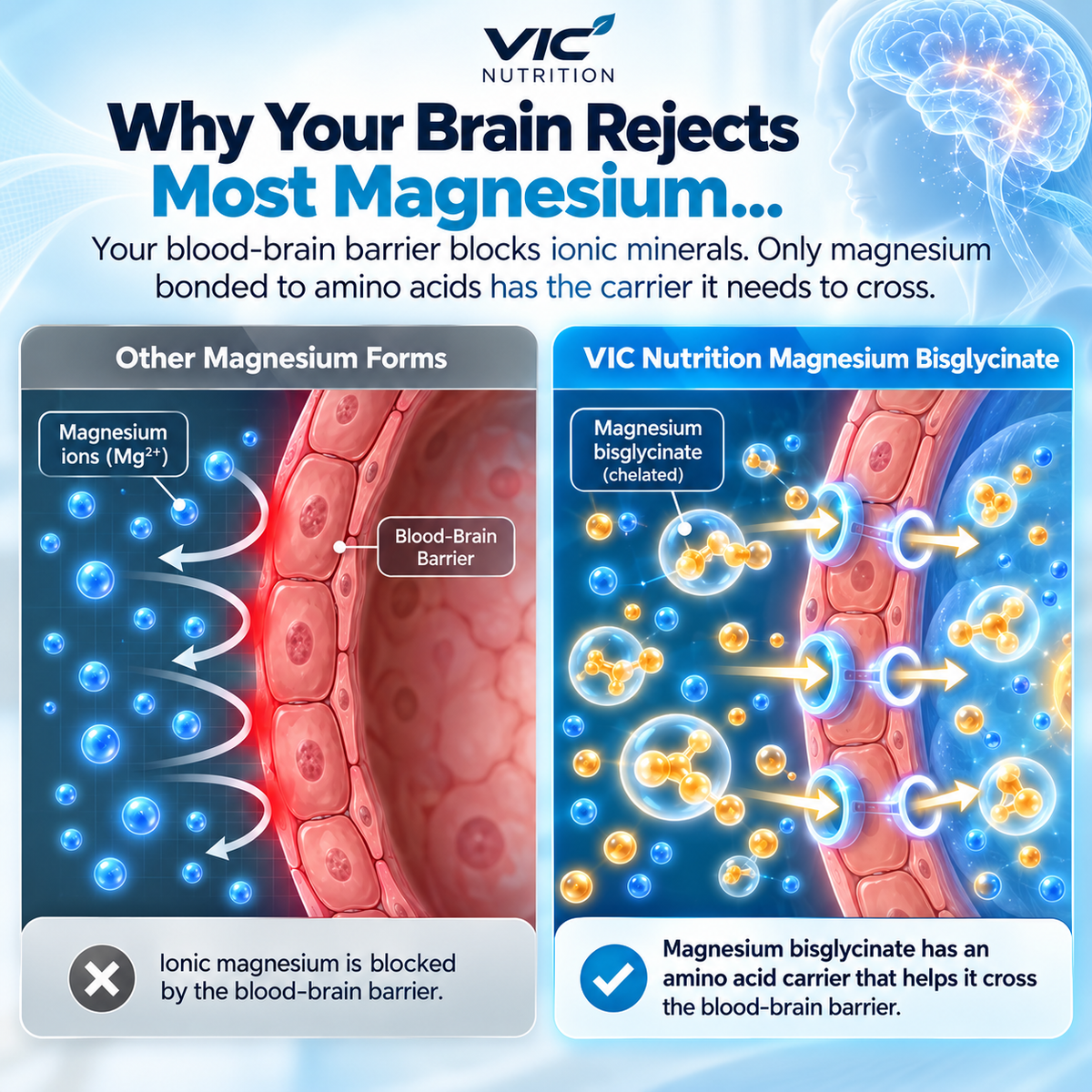 VIC Nutrition Magnesium Bisglycinate Gummies